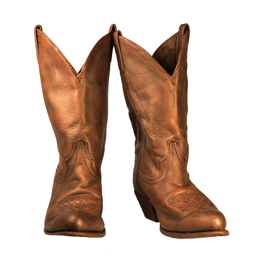 Bronze Cowboy Boots