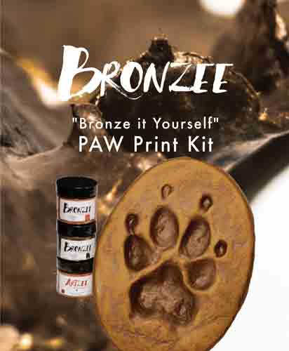 Paw Print Kit Picture