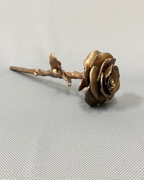 Photo of Long-Stemmed Rose